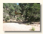 Goulburn River 5